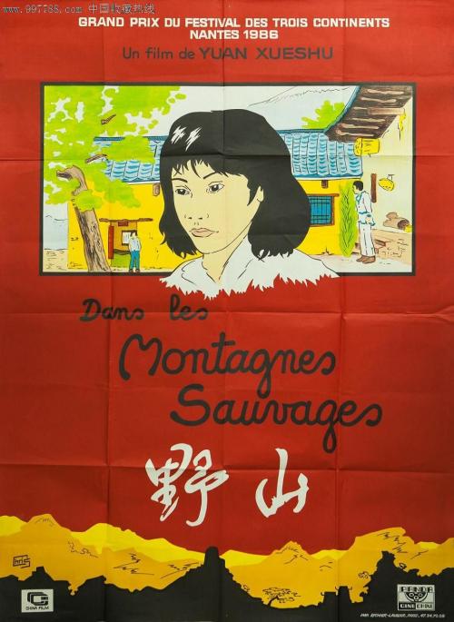 哪里能买到缅因州驾驶执照